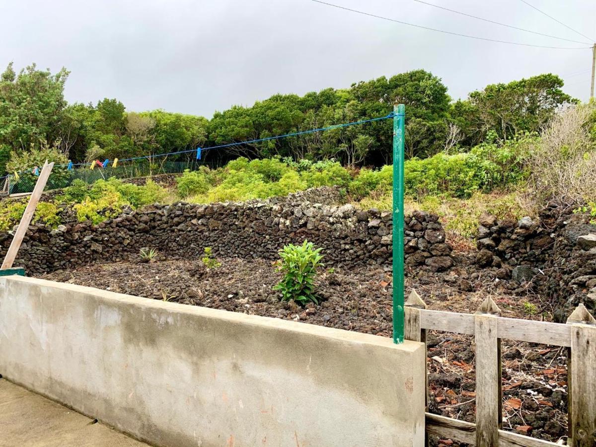 Casa Avo Sao Miguel Villa Angra do Heroísmo Exteriör bild